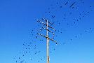 gal/Outdoor/_thb_DSC_0026.JPG