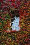 gal/Outdoor/_thb_DSC_0030.JPG