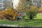 gal/Outdoor/_thb_DSC_0036.JPG