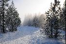 gal/Outdoor/_thb_DSC_2918.jpg
