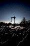 gal/Outdoor/_thb_DSC_2977.jpg