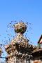 gal/Outdoor/_thb_DSC_4152.JPG