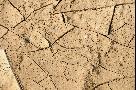 gal/Outdoor/_thb_DSC_4214.JPG